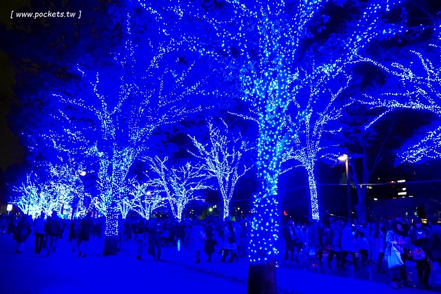 【日本東京】澀谷青之洞窟 SHIBUYA~長約800公尺的藍色燈海，從代代木公園延伸到澀谷公園，2017年資訊更新：2017年11月22日（星期三） &#8211; 2017年12月31日 @飛天璇的口袋