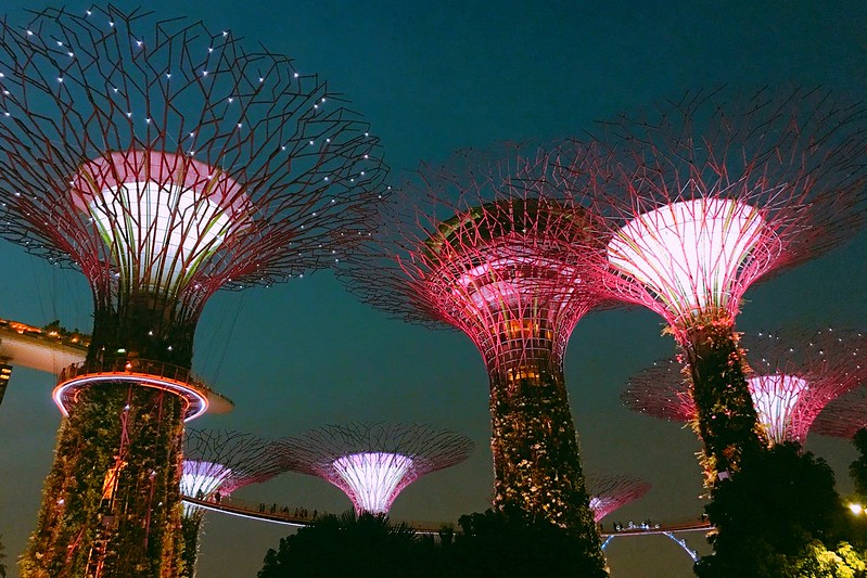 天空樹 Supertree Grove┃新加坡景點：濱海灣公園超震撼美景，走進阿凡達的星球，新加坡必遊景點推薦 @飛天璇的口袋