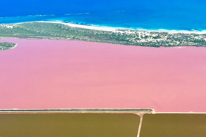 澳洲珀斯｜Hutt Lagoon 粉紅湖，西澳特別的自然景觀，上帝遺落小玫瑰，IG打卡熱門景點 @飛天璇的口袋