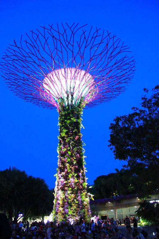 天空樹 Supertree Grove┃新加坡景點：濱海灣公園超震撼美景，走進阿凡達的星球，新加坡必遊景點推薦 @飛天璇的口袋