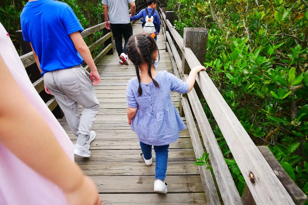 【新竹新豐】新豐紅樹林綠色步道：兼具休閒與觀光的生態保護區，走在被大自然包圍的綠色小隧道 @飛天璇的口袋