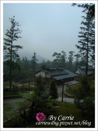 【南投旅遊】全台最美的森林國小．內湖國小 @飛天璇的口袋