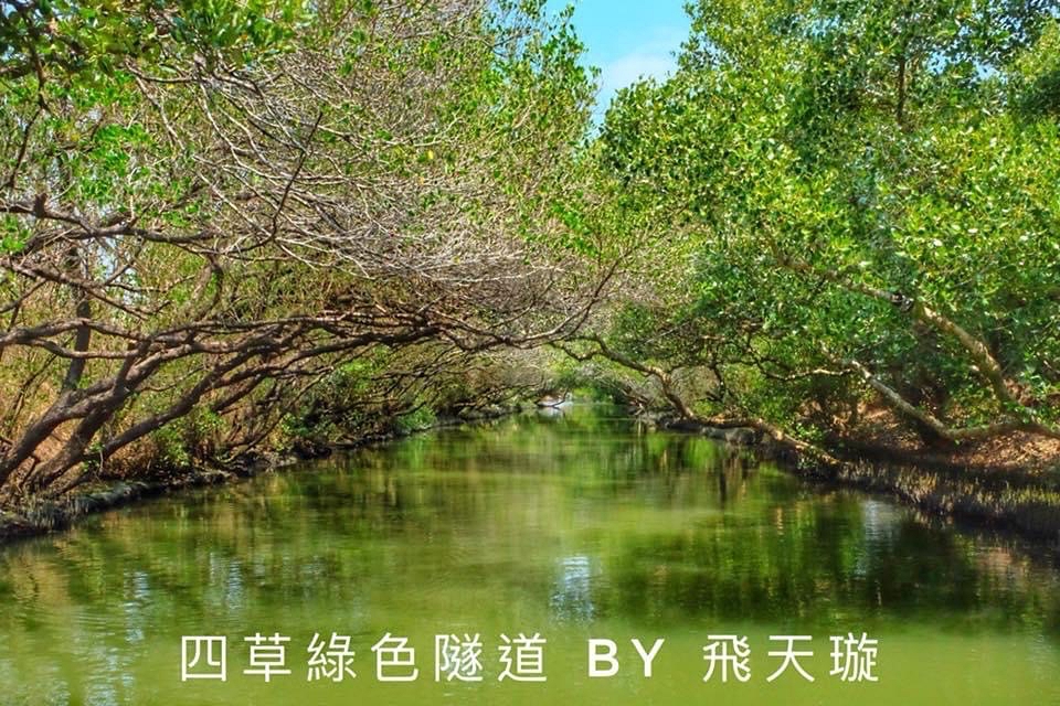 台南安南｜台江國家公園，搭竹筏遊四草綠色隧道，號稱台灣版迷你亞馬遜河 @飛天璇的口袋