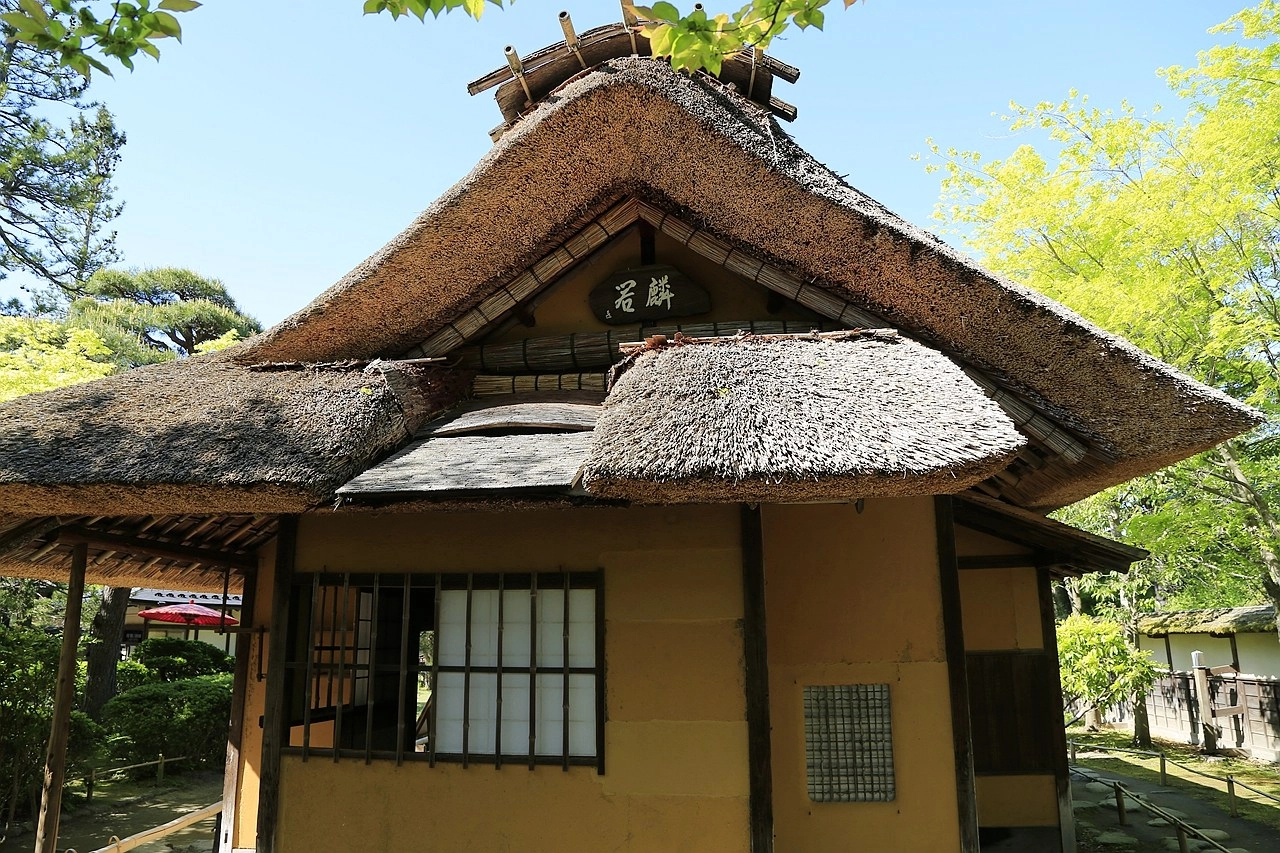 日本福島｜茶室麟閣．會津若松城旁，楓葉紅時巧遇紫藤花與櫻花 @飛天璇的口袋