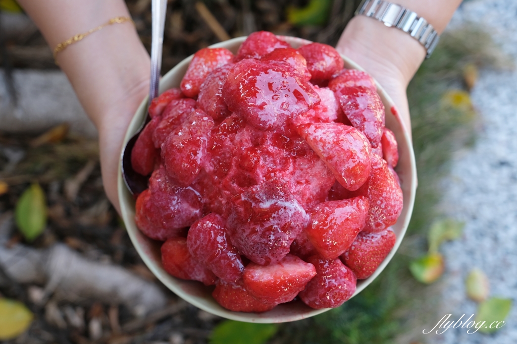 台南中西｜冰鄉．台南超人氣冰品店，季節限定草莓冰排隊也要吃 @飛天璇的口袋