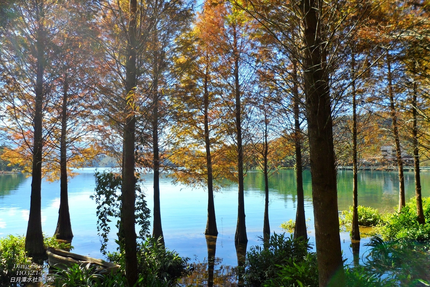 【南投魚池】向山遊客中心 &#8211; 水社：日月潭必訪的美麗景點，CNN評選世界最美的自由車道之一 @飛天璇的口袋