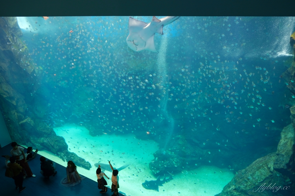 桃園水族館｜來自日本八景島的Xpark水族館，票價、交通、環境、必拍 @飛天璇的口袋