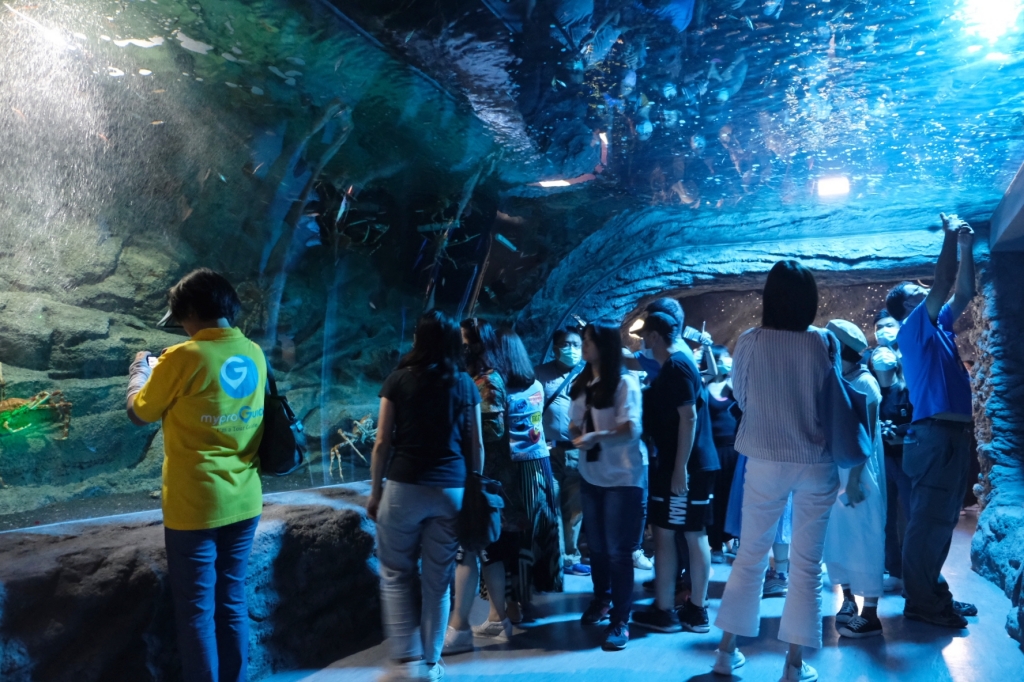 桃園水族館｜來自日本八景島的Xpark水族館，票價、交通、環境、必拍 @飛天璇的口袋