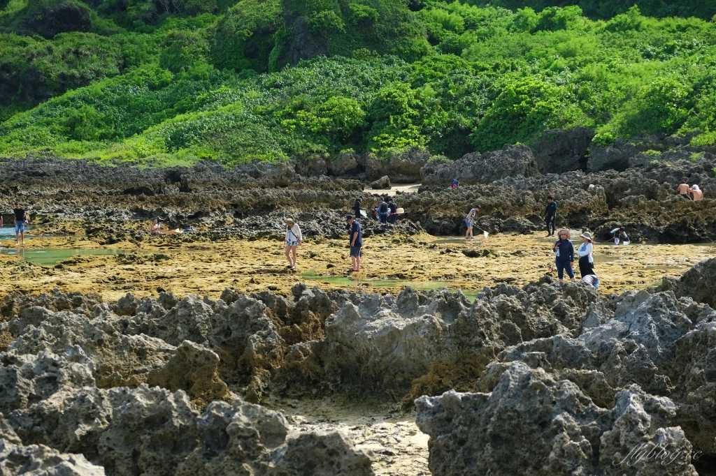 【屏東恆春】小峇里島岩沙灘：墾丁天然珊瑚礁海域，浮潛愛好者的聖地 @飛天璇的口袋