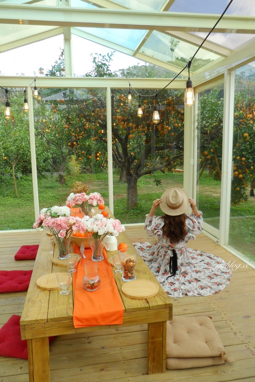 橙香森林｜森林裡面的浪漫玻璃屋，有大片草原和橙香隧道，親子旅遊IG打卡的好地方 @飛天璇的口袋
