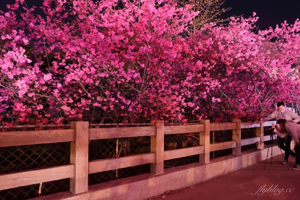 台中后里｜泰安派出所櫻花季．中部最佳賞夜櫻景點推薦，全台最美最浪漫的警察局 @飛天璇的口袋