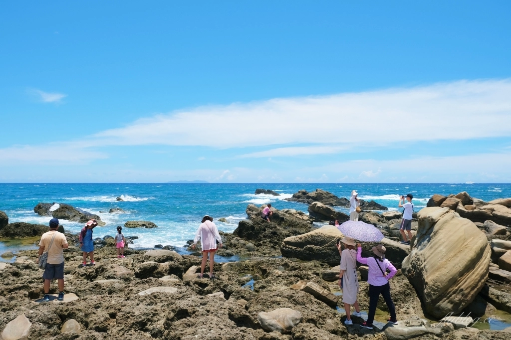 台東小野柳｜充滿自然生態東部沿海地質教室，天氣好的時候還可以眺望綠島 @飛天璇的口袋