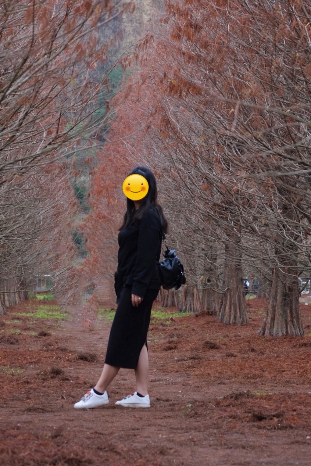 【台中外埔】外埔落羽松秘境：火炎山下200棵落羽松樹林，后里麗寶樂園附近的秘境 @飛天璇的口袋