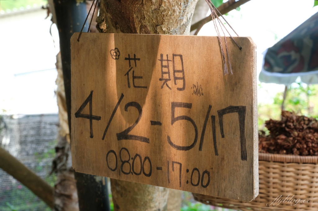 【彰化田尾】彰化田尾鳶尾花季~彰化田尾「旅人小屋舒宿」，浪漫唯美的鳶尾花秘境 @飛天璇的口袋