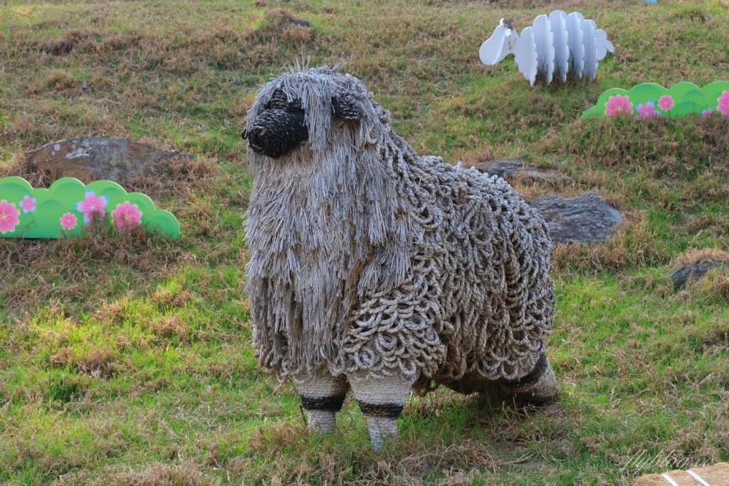 【南投仁愛】清境農場，在台灣也可以這麼貼近紐西蘭，還有超療癒的綿羊秀 @飛天璇的口袋