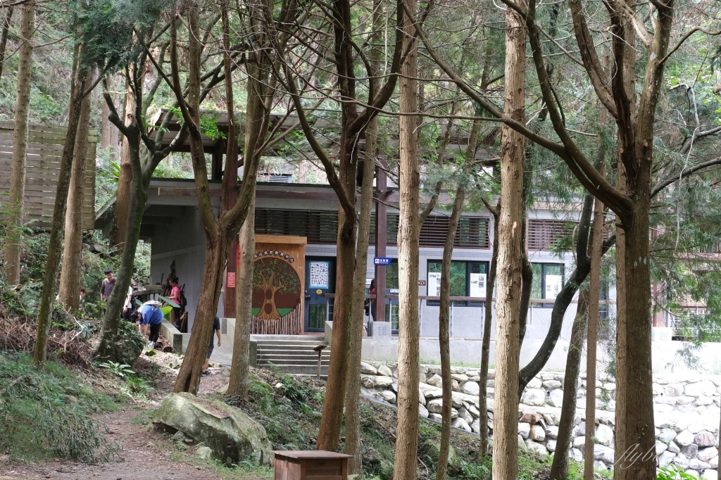 【台中和平】八仙山國家森林遊樂區，群山環繞景色優美，輕鬆好走的森林步道 @飛天璇的口袋