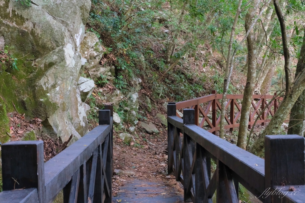 【台中和平】八仙山國家森林遊樂區~群山環繞景色優美「八仙山」，輕鬆好走的森林步道 @飛天璇的口袋