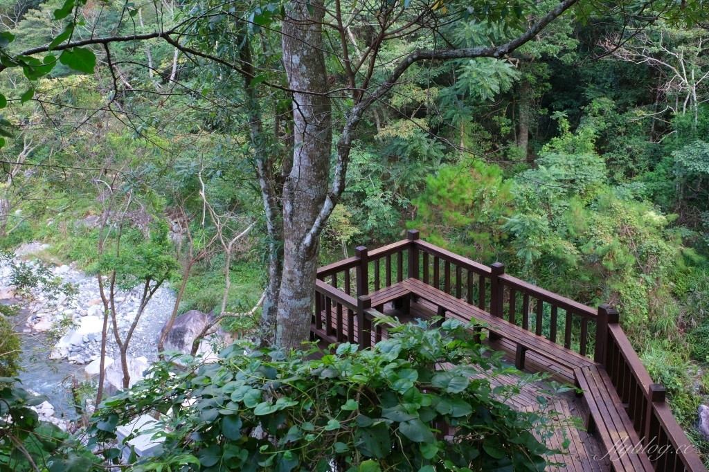 【台中和平】八仙山國家森林遊樂區，群山環繞景色優美，輕鬆好走的森林步道 @飛天璇的口袋