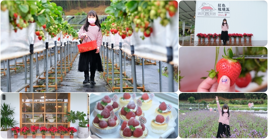 【苗栗大湖】紅色琉璃瓦 SUHU Café ~大湖最新景點紅色琉璃瓦草莓園，結合採果、美食、伴手禮 @飛天璇的口袋
