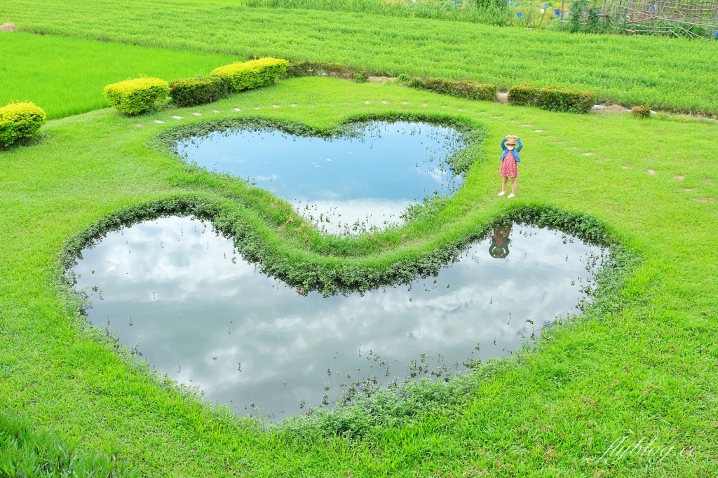 雙心池塘｜小而巧小而美的大村雙心池塘，感受樸實靜謐的農村風情 @飛天璇的口袋