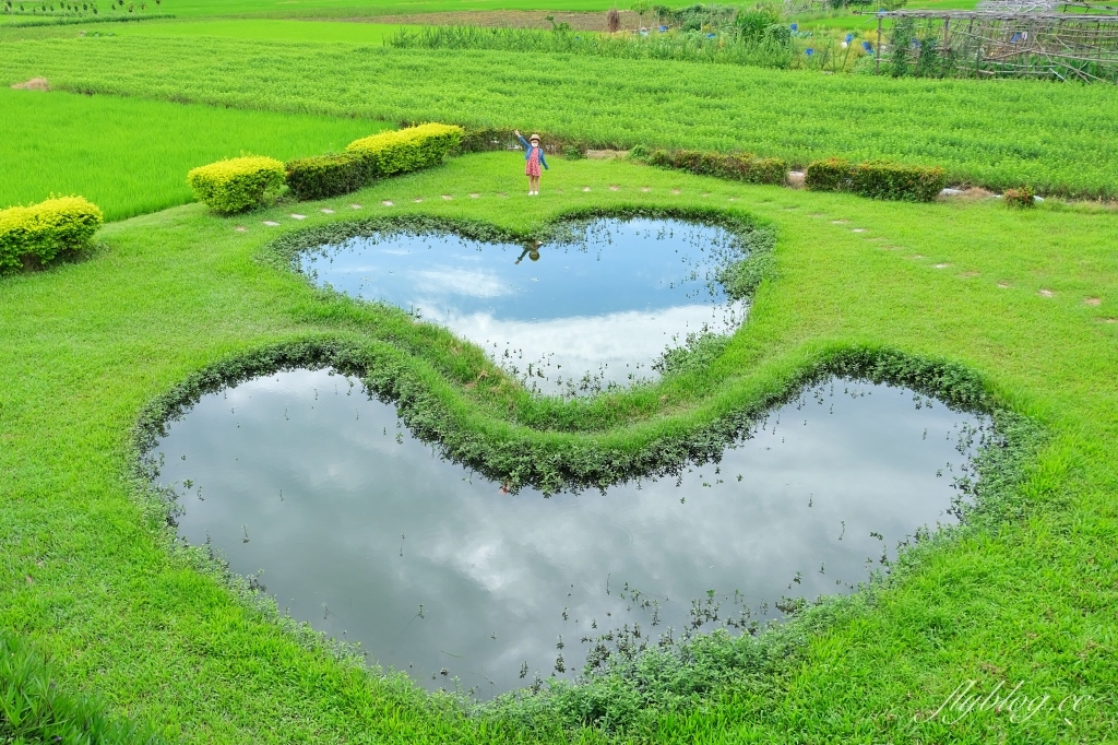 雙心池塘｜小而巧小而美的大村雙心池塘，感受樸實靜謐的農村風情 @飛天璇的口袋