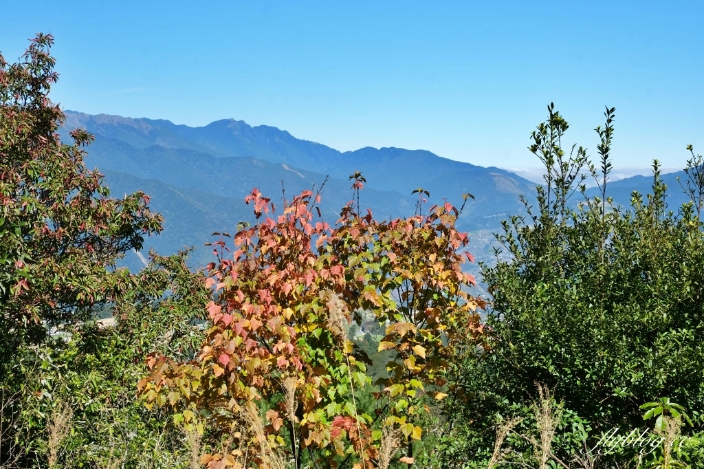 福壽山農場天池｜位於海拔2614公尺高山上的湖泊，雲霧縹緲宛如仙境般的美 @飛天璇的口袋