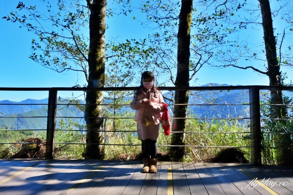 福壽山農場天池｜位於海拔2614公尺高山上的湖泊，雲霧縹緲宛如仙境般的美 @飛天璇的口袋
