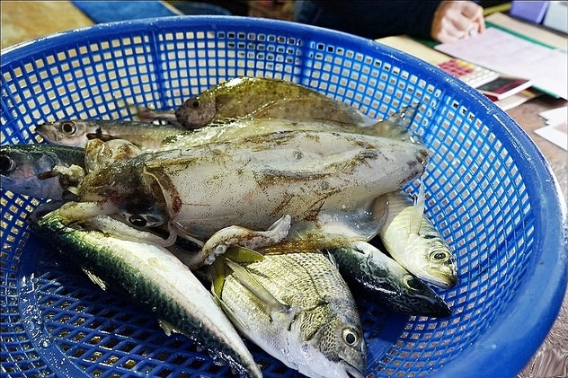 明發定置漁場｜現補新鮮漁獲拍賣現場，完全感受搶魚的樂趣 @飛天璇的口袋