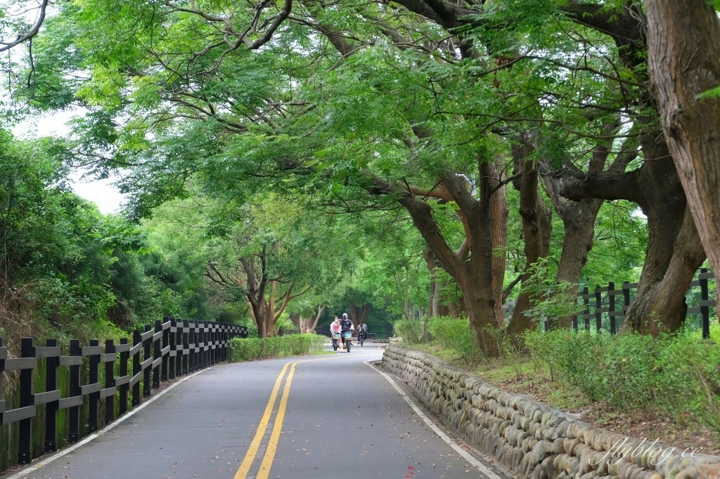 后豐鐵馬道-東豐綠色走廊｜台中最美的自行車道，從后豐鐵馬道騎到東豐綠色走廊，沿途租車地點和必拍景點 @飛天璇的口袋