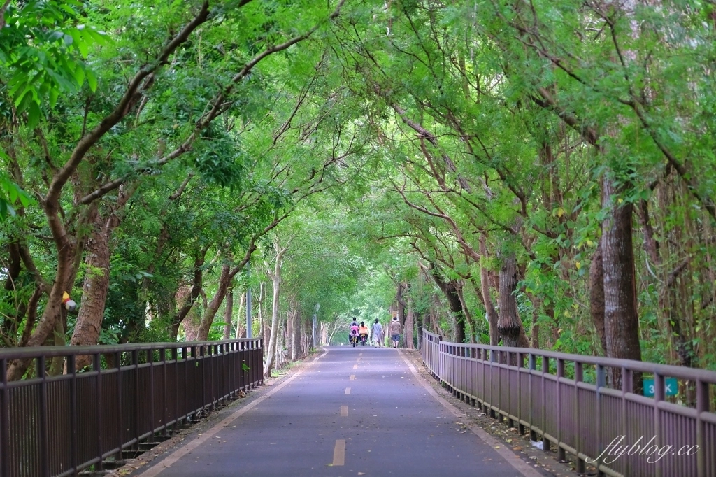 台中景點｜后豐鐵馬道到東豐綠色走廊，台中最美的自行車道，沿途租車地點和必拍景點 @飛天璇的口袋