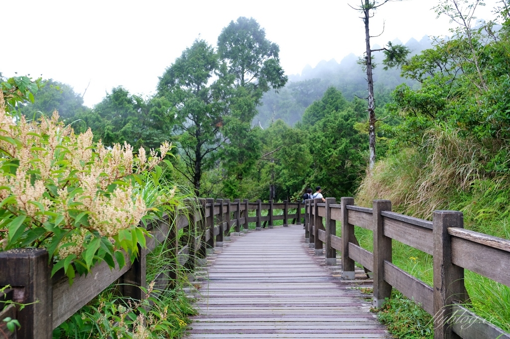宜蘭大同｜太平山翠峰湖，全球第一條最寂靜的森林山徑，台灣最大的高山湖泊翠峰湖 @飛天璇的口袋