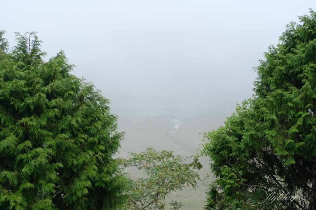 太平山翠峰湖｜全球第一條最寂靜的森林山徑，台灣最大的高山湖泊翠峰湖 @飛天璇的口袋