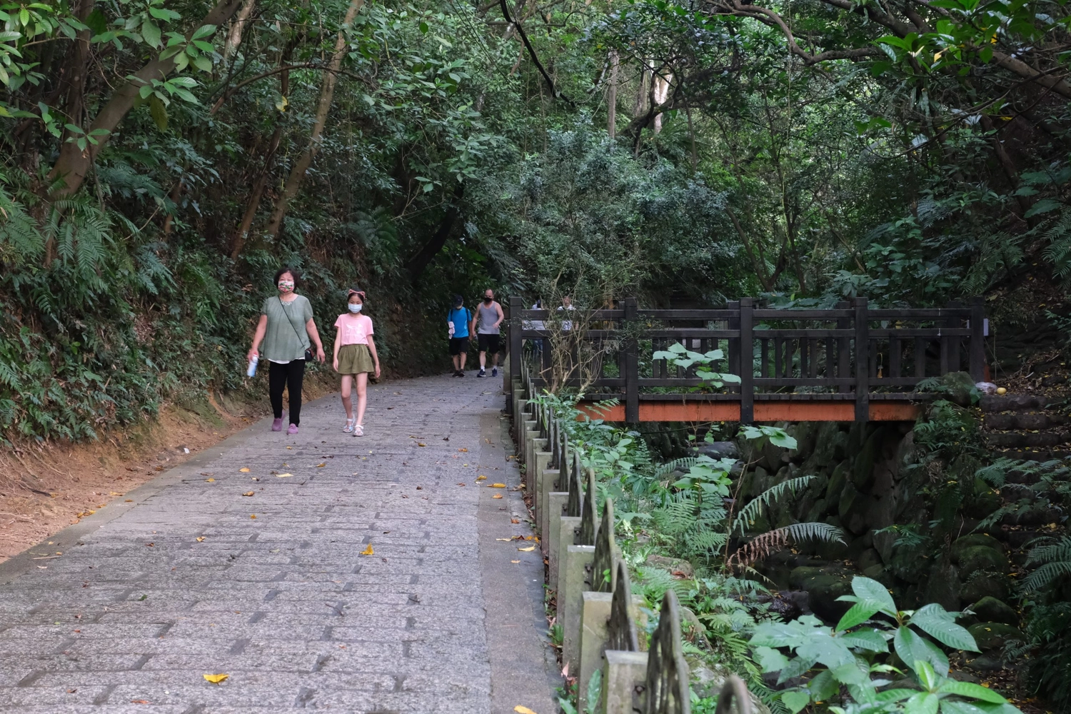 台北信義｜虎山溪步道，台北市區潺潺溪流山林美景，夢幻石砌拱橋的親水步道 @飛天璇的口袋