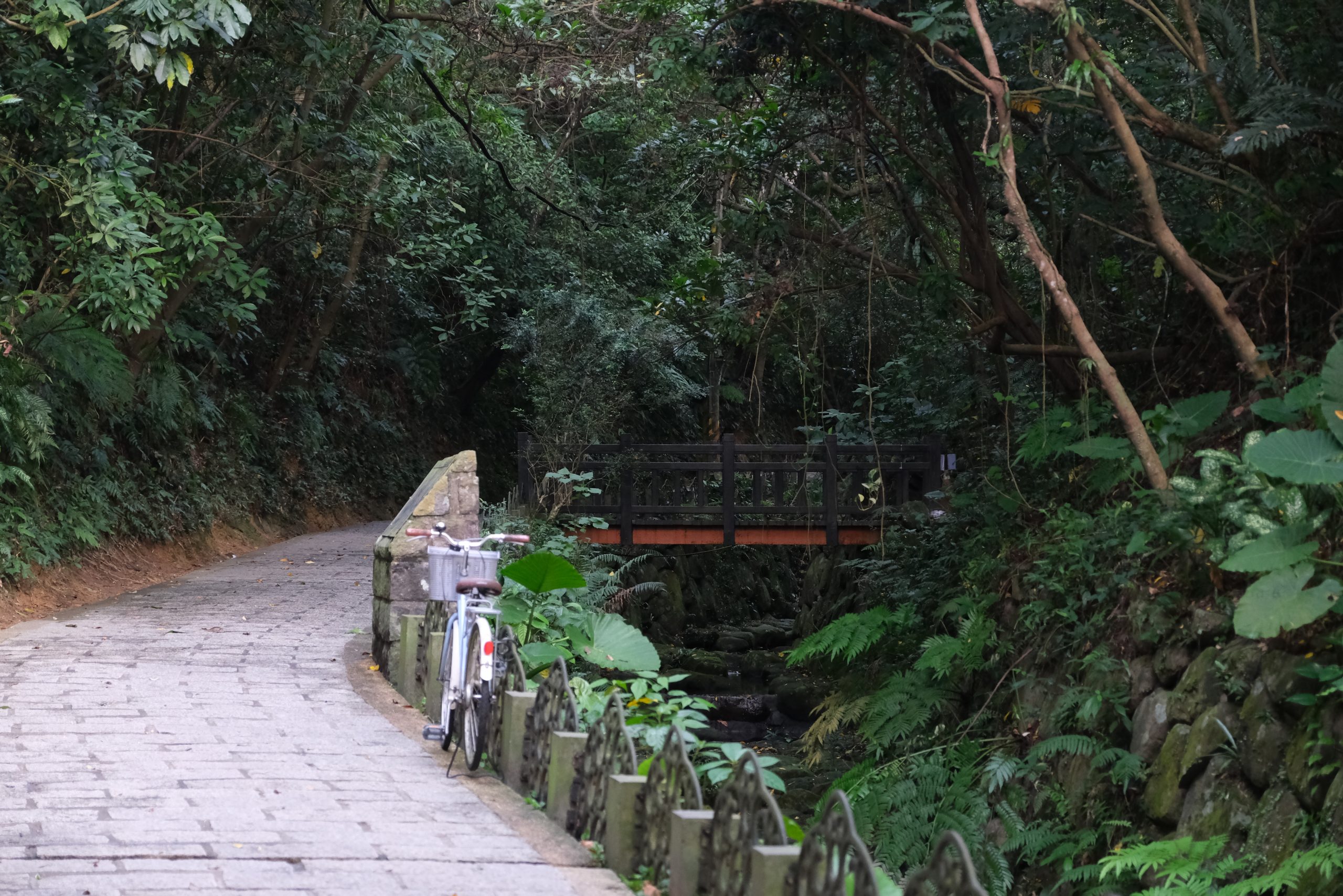 台北信義｜虎山溪步道，台北市區潺潺溪流山林美景，夢幻石砌拱橋的親水步道 @飛天璇的口袋