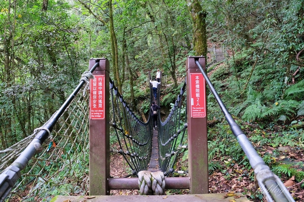 台中和平｜希利克步道．梨山賓館後方的幽靜步道，全長600公尺兩座纜繩吊橋森林探索 @飛天璇的口袋