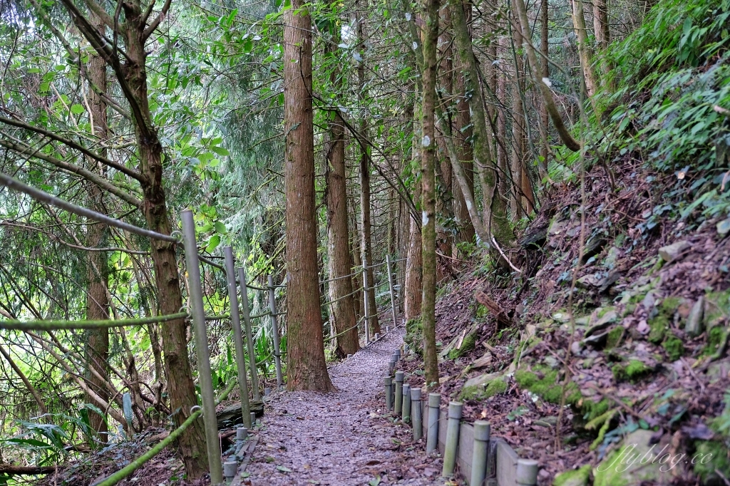 希利克步道｜梨山賓館後方的幽靜步道，全長600公尺兩座纜繩吊橋森林探索 @飛天璇的口袋