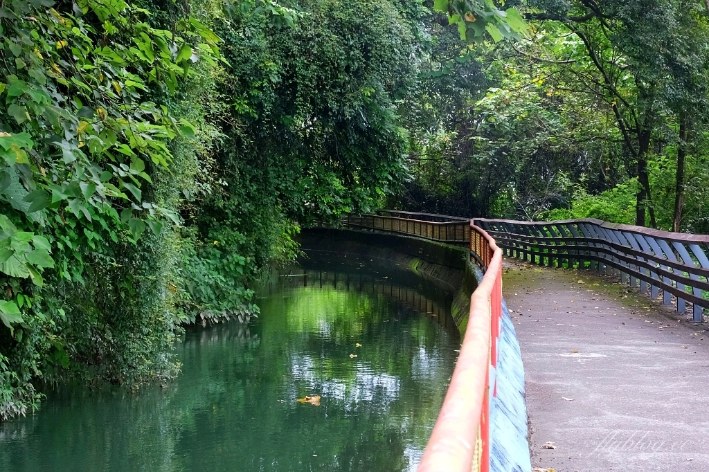 台中石岡｜電火圳生態步道，石岡半山腰的私房景點，沿著潺潺流水幽靜的林蔭步道 @飛天璇的口袋