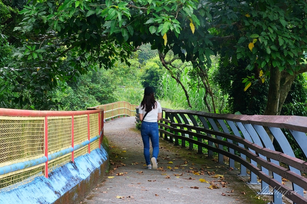 電火圳生態步道｜石岡半山腰的私房景點，沿著潺潺流水幽靜的林蔭步道 @飛天璇的口袋