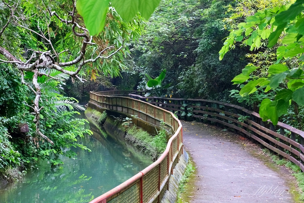 電火圳生態步道｜石岡半山腰的私房景點，沿著潺潺流水幽靜的林蔭步道 @飛天璇的口袋