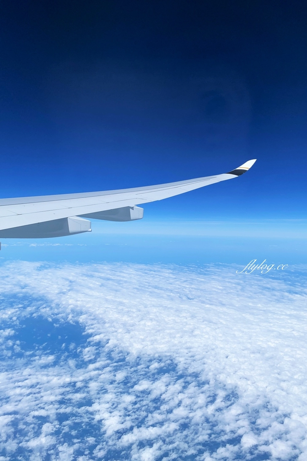 星宇航空開箱文｜星宇航空JX741 台北→曼谷A330-900NEO 經濟艙體驗，機上座位及飛機餐分享 @飛天璇的口袋