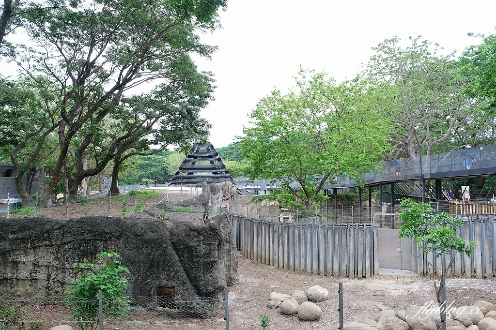 高雄鼓山｜壽山動物園，歷經2年整修重新開幕，暑假期間12歲小朋友免門票 @飛天璇的口袋