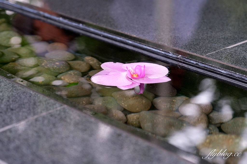 台南善化｜深緣及水善糖文化園區．我的婆婆怎麼那麼可愛拍攝地，體驗曲水流觴下午茶 @飛天璇的口袋