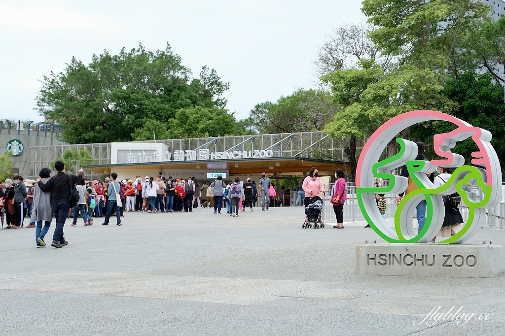 新竹東區｜新竹市立動物園．火車站步行15分鐘抵達，台灣現址最老的動物園 @飛天璇的口袋