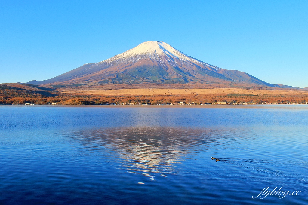 日本山梨｜山中湖．拍富士山的秘境，欣賞日出絕美逆富士 @飛天璇的口袋