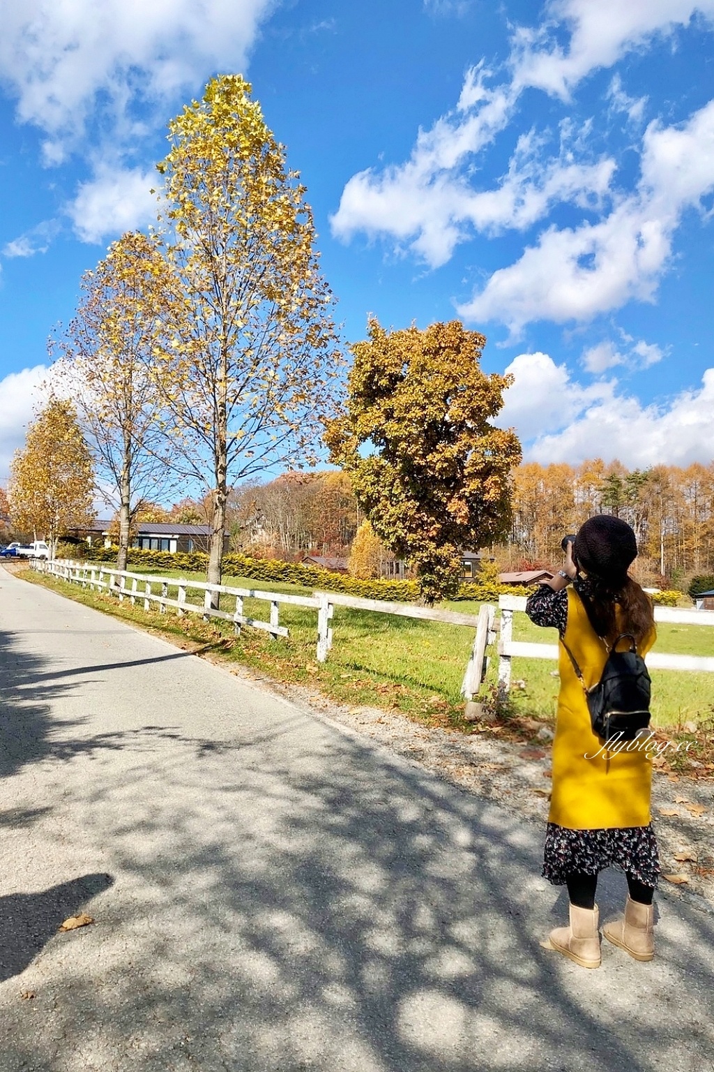 日本山梨｜清里萌木之村．充滿歐洲風情的童話小鎮，日本唯一森林裡的旋轉木馬 @飛天璇的口袋