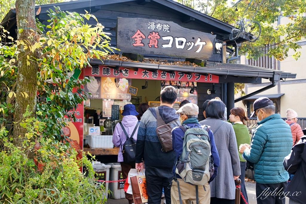日本大分｜由布院一日遊．12個由布院美食景點，日本OL心中第一名旅遊勝地 @飛天璇的口袋