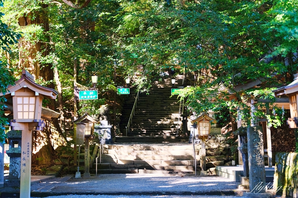 日本宮崎｜高千穗神社．1900年的歷史的神社，手牽手繞兩棵樹走一圈 @飛天璇的口袋
