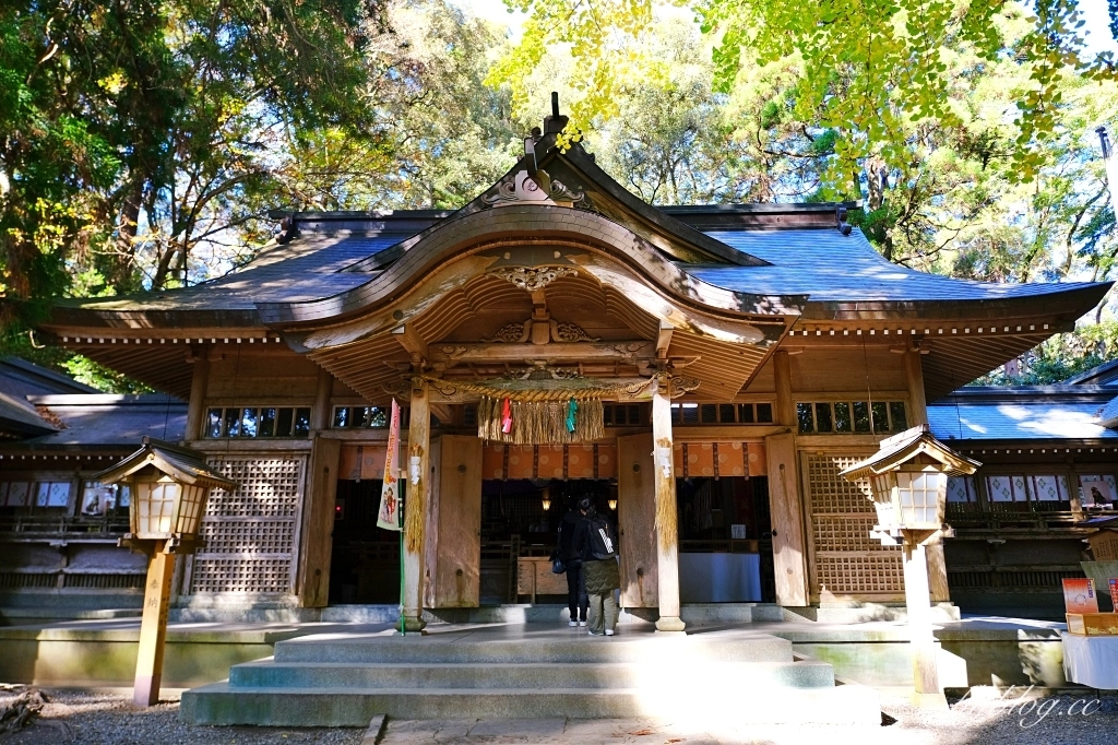 日本宮崎｜高千穗神社．1900年的歷史的神社，手牽手繞兩棵樹走一圈 @飛天璇的口袋