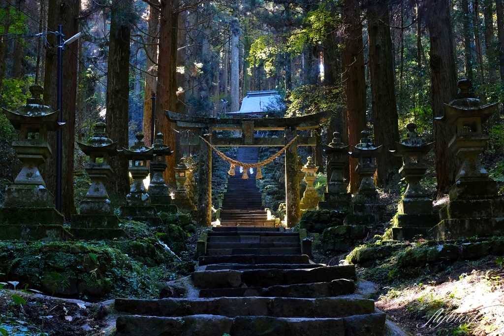 日本熊本｜上色見熊野座神社．人氣動漫螢火之森場景，仿佛走進異次元的神秘通道 @飛天璇的口袋
