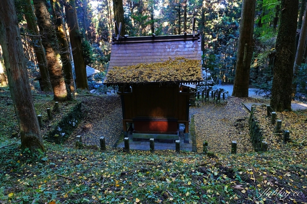 日本熊本｜上色見熊野座神社．人氣動漫螢火之森場景，仿佛走進異次元的神秘通道 @飛天璇的口袋
